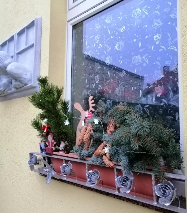 Usis_Ferienwohnung Im Harz クヴェードリンブルク エクステリア 写真